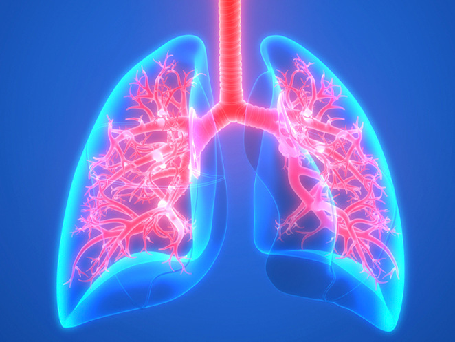 O que são Doenças Pulmonares? - Dr Ramiro Sienra - Pneumologista São José  dos Campos